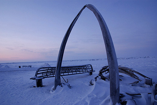 This arch is made from the lower jaw bones of a large sized bowhead whale. It was erected in the 1980�s by Charles D. Brower's sons. Today it serves as a tourist attraction where visitors from all over the world pose to have their pictures taken by the Chuckhi Sea. To the right and the left of the whale bone arches are the frames of 2 umiaks. These wooden frames are covered with the hides of bearded seal and become the principal method of transportation during spring whaling.