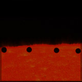 Tuesday - Mercury Transit